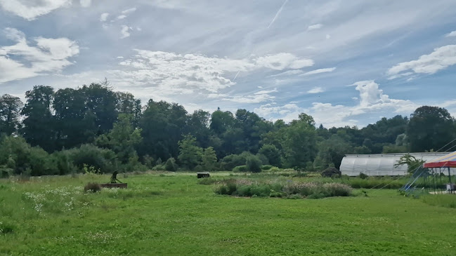 Zehendermätteli - Gastronomie und Hotellerie