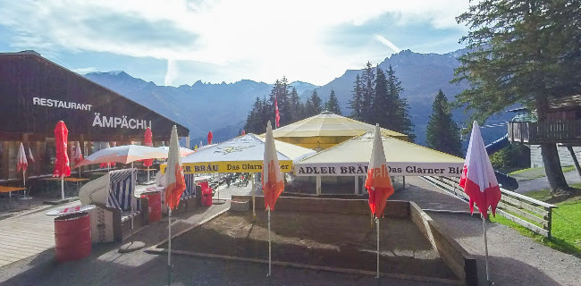 Ämpächli, 8767 Elm