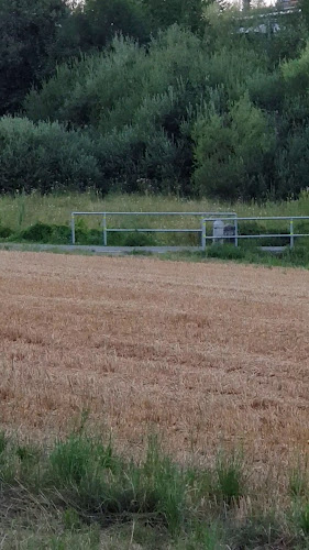 Opinii despre Banbua în Illnau-Effretikon - Gastronomie und Hotellerie