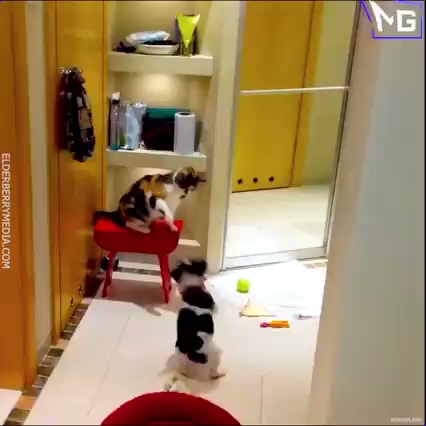 Opinii despre Café Sapori vegan în Schaffhausen - Gastronomie und Hotellerie