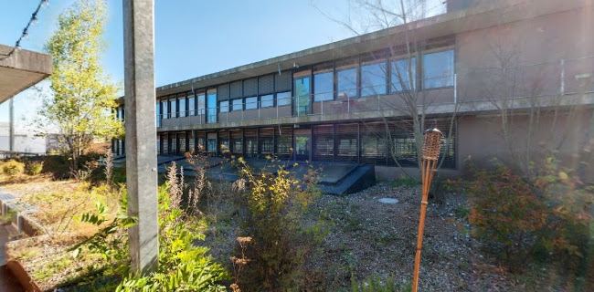 Binzmühlestrasse 170b, 8050 Zürich