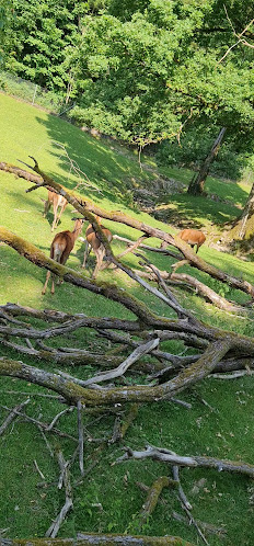 Selbstbedienung im Wildpark Roggenhausen - Gastronomie und Hotellerie