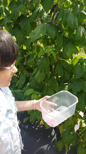 Opinii despre La Fraisière în Meyrin - Gastronomie und Hotellerie