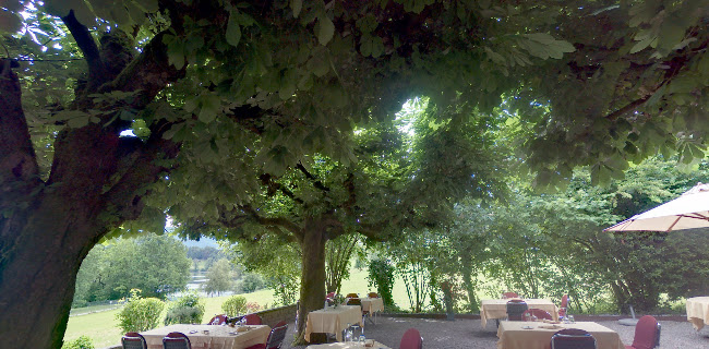 Opinii despre Gasthaus Wildenmann în Buonas - Gastronomie und Hotellerie