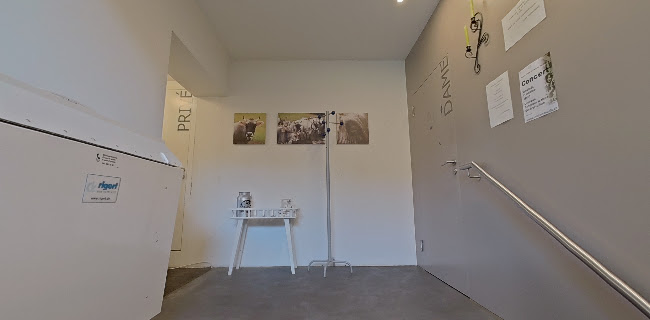 Comentarii opinii despre Restaurant Pierreberg