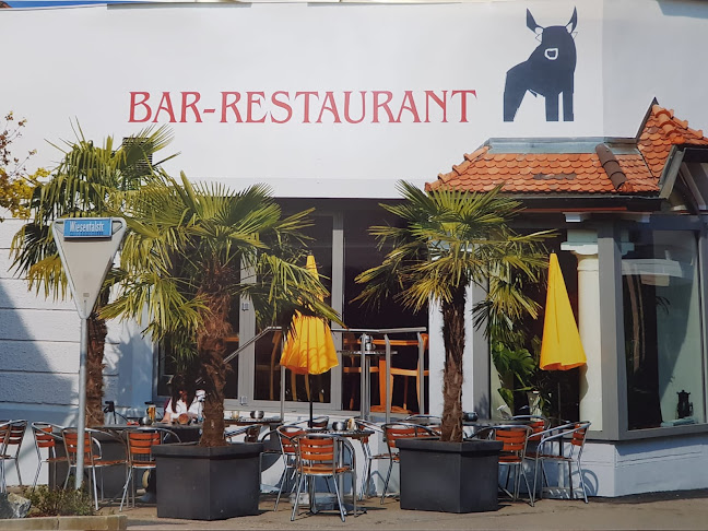 Comentarii opinii despre Oxä