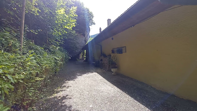 Comentarii opinii despre Restaurant du Theusseret