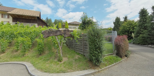 Weingut Cinq - Gastronomie und Hotellerie