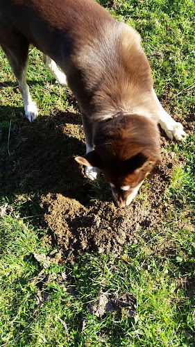 du Maillard - La Chaux-de-Fonds