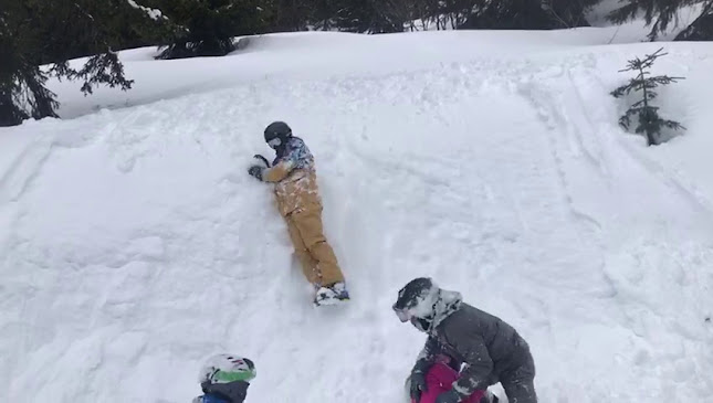 Restaurant - Brasserie Le Vaudois - Lausanne