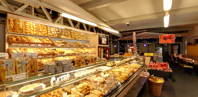 Comentarii opinii despre Chrigubeck