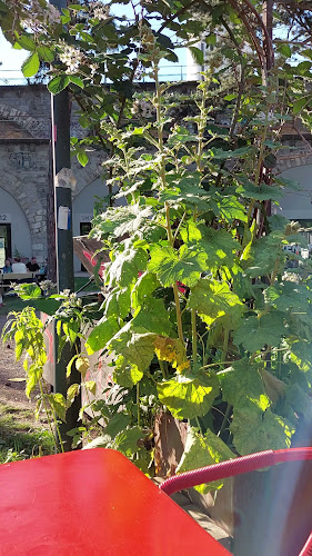 Kiosk Josefswiese - Gastronomie und Hotellerie