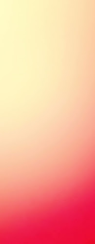 O'Lé burger et tapas - Gastronomie und Hotellerie