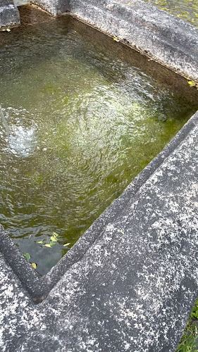 Falkenplatz Take Away