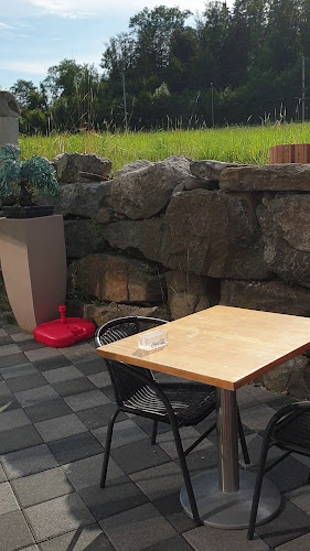 Opinii despre Aastro El Torito, Bubikon (Zürich) în Bubikon - Gastronomie und Hotellerie