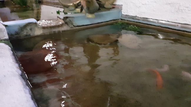 Café Hallenminigolf - Olten