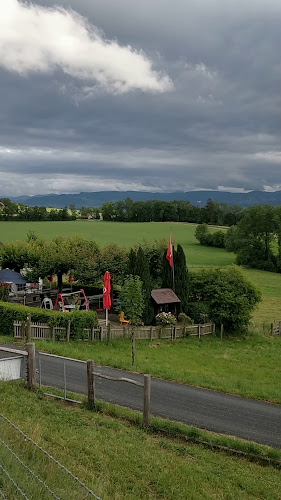 Opinii despre Blüemlisalp în Herrliberg - Gastronomie und Hotellerie