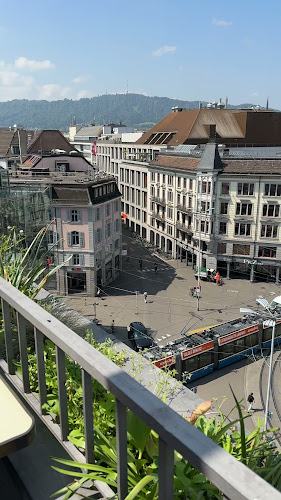 Comentarii opinii despre Roof Garden