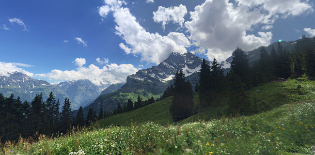 Ortstockhaus Braunwald