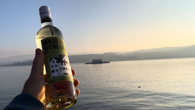 Heiri Bolleter Weinbau GmbH - Meilen