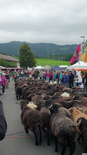 Opinii despre Gasthof & Catering Löwen Riffenmatt în Riffenmatt - Gastronomie und Hotellerie