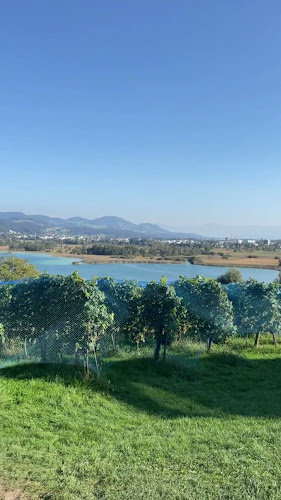 Opinii despre Juckerhof, Jucker Farm AG în Seegräben - Gastronomie und Hotellerie