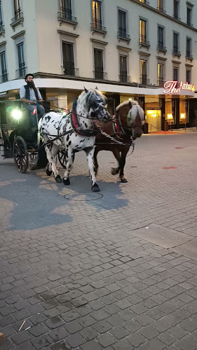 Terrasse le Paradis - Gastronomie und Hotellerie