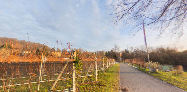 Tenuta Bally & von Teufenstein - Vezia