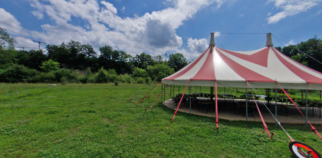 Opinii despre Zehendermätteli în Bern - Gastronomie und Hotellerie