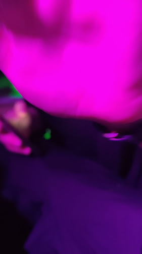 Lehenmattstrasse 353, 4052 Basel