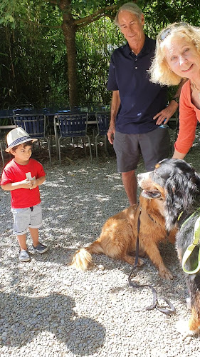 Comentarii opinii despre Zehendermätteli