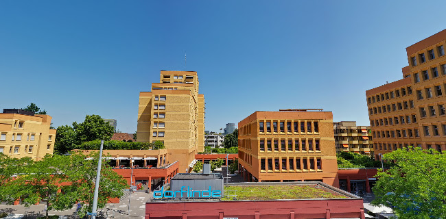 Opinii despre Restaurant Dorflinde în Zürich - Gastronomie und Hotellerie