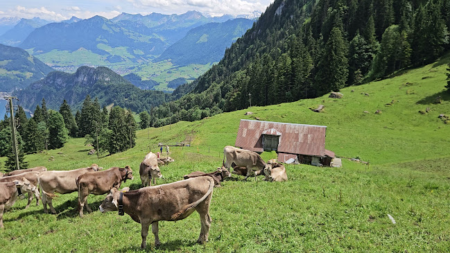 Comentarii opinii despre Bergwirtschaft zur Alpgschwänd