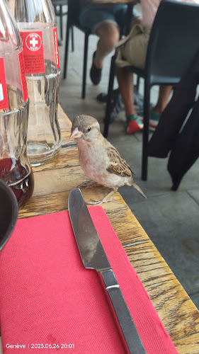 Tartares & Co - Geneva