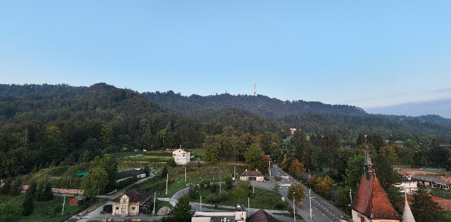 Opinii despre Gasthaus Albisgütli în Zürich - Gastronomie und Hotellerie