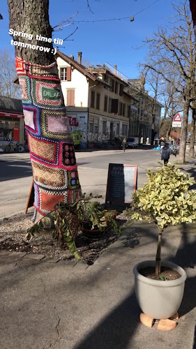 Opinii despre Falafingo în Bern - Gastronomie und Hotellerie