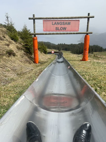 Comentarii opinii despre Panoramagrill