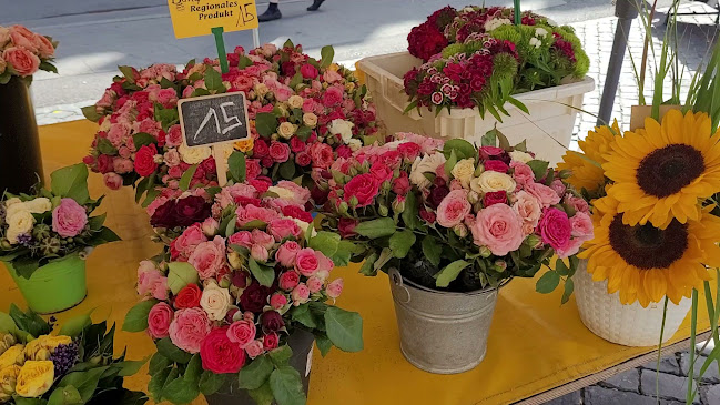 Basler Stadtmarkt - Gastronomie und Hotellerie