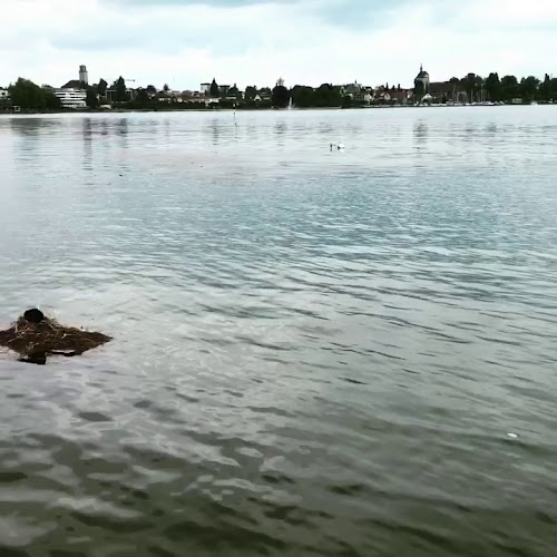 Opinii despre OSCIS FISCHBEIZ în Steinach - Gastronomie und Hotellerie