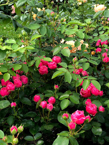 GnussBär - Thun - Gastronomie und Hotellerie