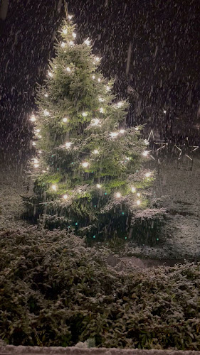 Opinii despre Gasthaus Wildenmann în Buonas - Gastronomie und Hotellerie