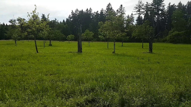 Geeren - Gastronomie und Hotellerie