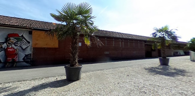 Aare-Chill / Beach Lounge | Winterpause