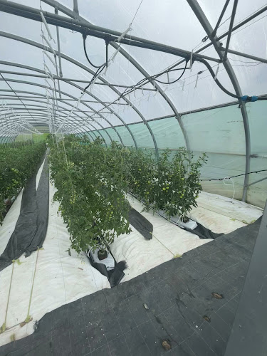 Opinii despre Self-Fruits Perroud în Attalens - Gastronomie und Hotellerie