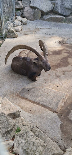 Selbstbedienung im Wildpark Roggenhausen