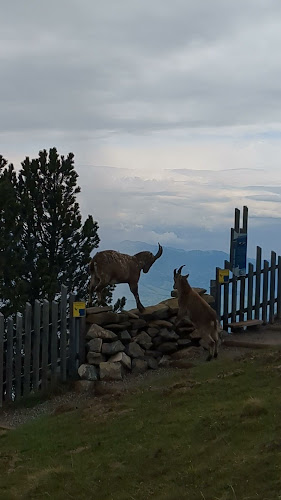 Niederhorn 1015, 3803 Beatenberg