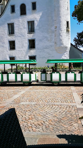 Pl. du Château 8, 1260 Nyon