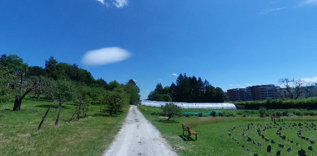 Comentarii opinii despre Restaurant Le Jardin