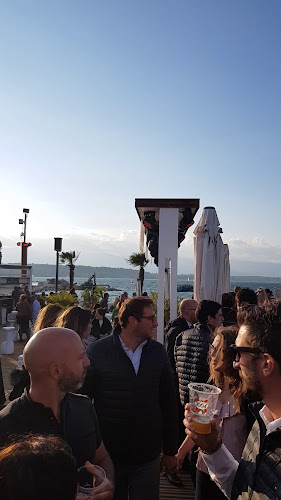 Les Voiles - Cologny