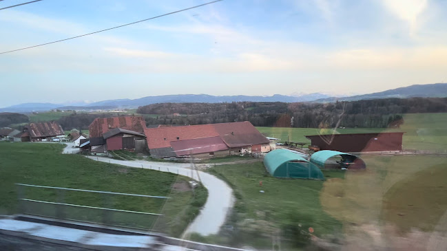 Restaurant Pizzeria Lory Bern